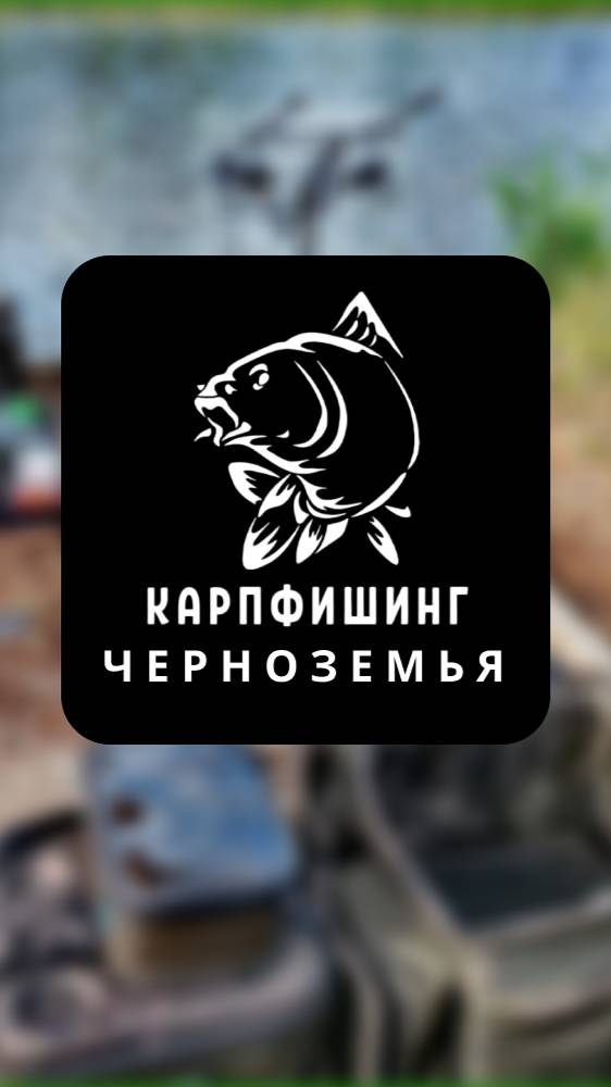 3й сектор Команда "Биба и Боба