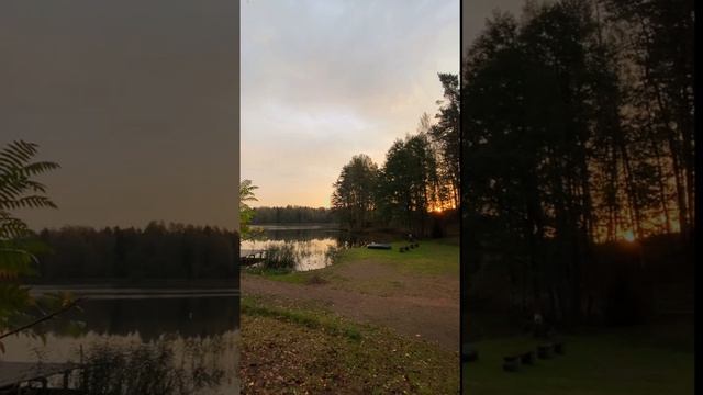 Красоты около Усадьбы Антропково!