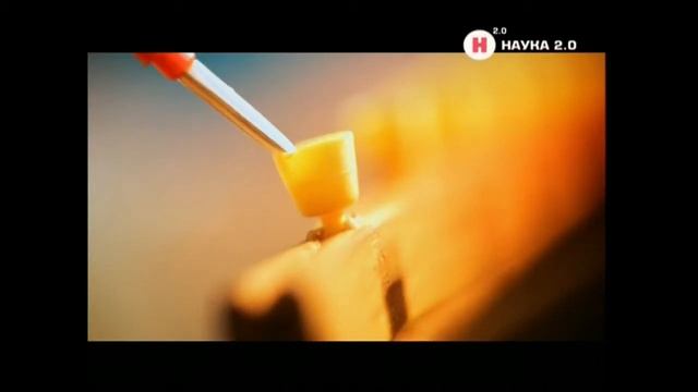 Искусственное осеменение матки! Пчеловодство. Пасека. Мёд