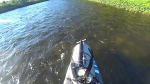 Рыбалка на сап-бордах на реке Томь #supboard #сапборд #томь #рыбалка #сплав