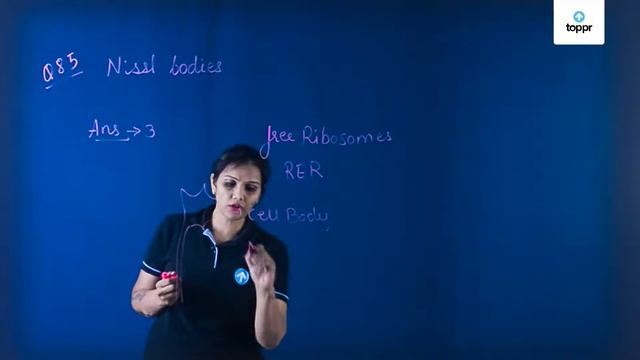 NEET 2018 Biology Set HH Q 85 Solution