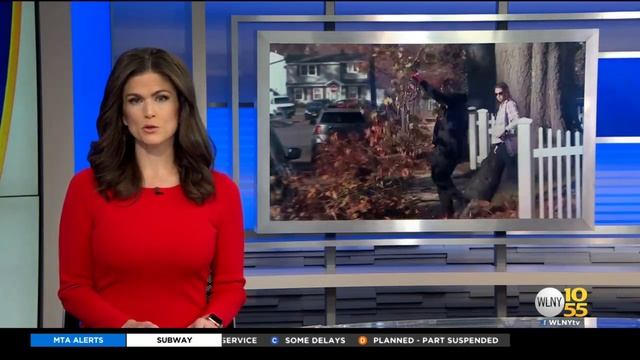 Clean-Up Underway On Long Island After Tornado Touches Down смотреть онлайн