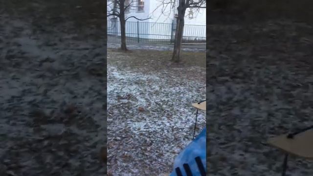 Обзор на кормушки смотреть онлайн