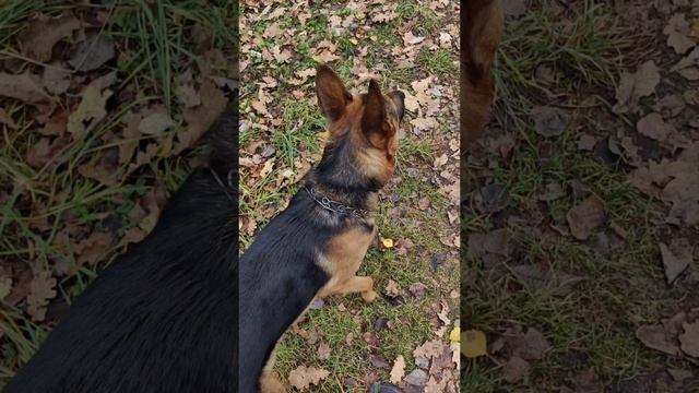 Другая любовь 💞