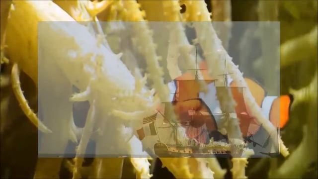 Rod Stewart  Sailing