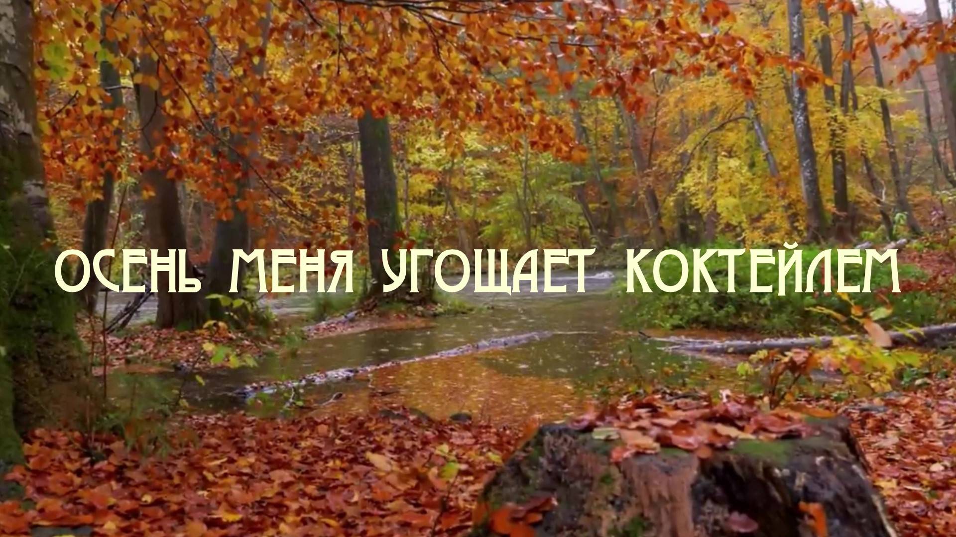 ОСЕНЬ МЕНЯ УГОЩАЕТ КОКТЕЙЛЕМ. Любовь Великанова. смотреть онлайн