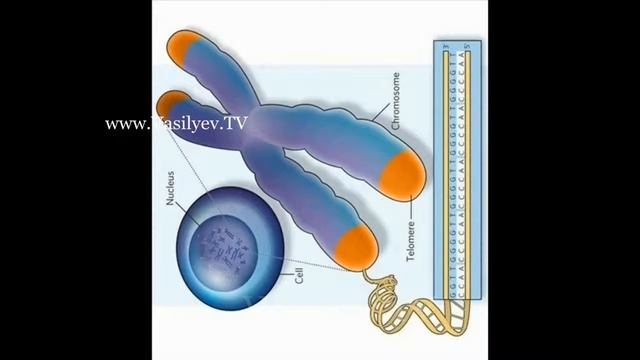 Обзор кратко по продукции Jeunesse, Jeunesse Global, Жанесс, Дженесс, Джанес! Отзыв! 1 смотреть онлайн