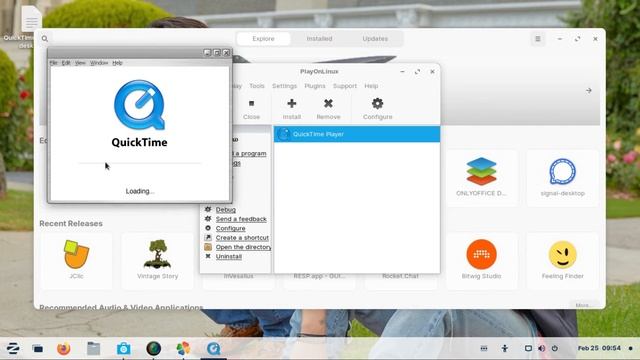 CARA INSTAL SOFTWARE WINDOWS DI LINUX ZORIN смотреть онлайн