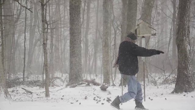 Bird Feeder & Me fini смотреть онлайн
