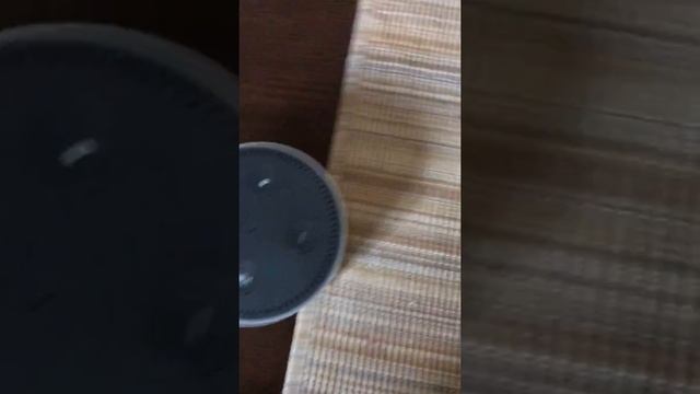 Super Alexa mode.exe смотреть онлайн