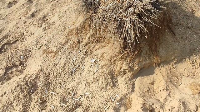 Дикий пляж и его проблемы, то что видим мы. Полёт на параплане открывает шикарный вид . смотреть онлайн