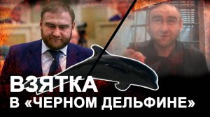 Дело Арашукова: Как бывший сенатор организовал VIP-условия в «Черном дельфине»!