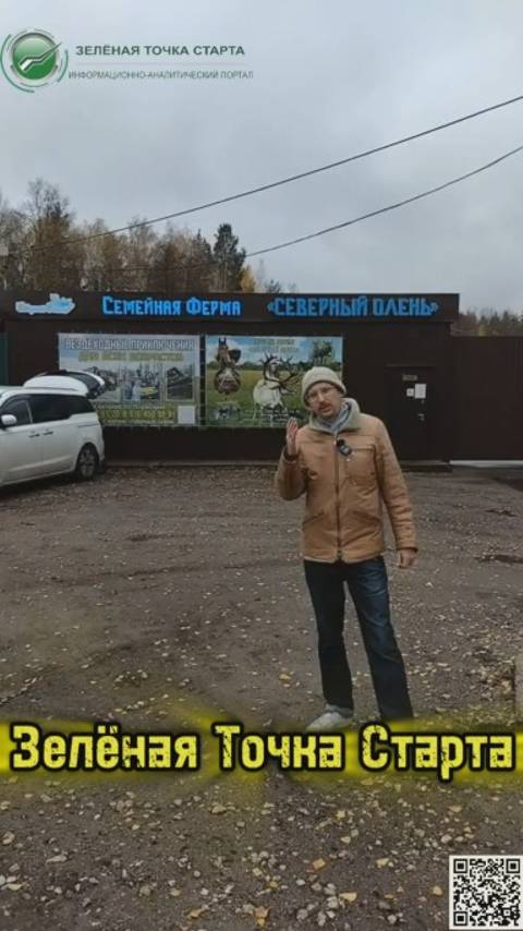 Современный Северный Олень смотреть онлайн