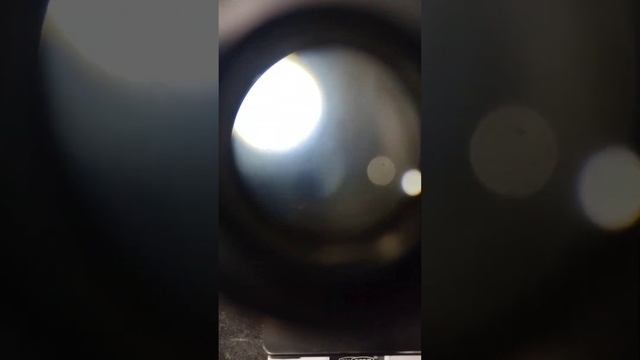 Microscope#shortvideo #shortsfeed