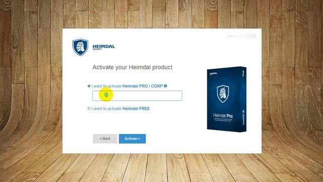 Heimdal Pro free 1 year license смотреть онлайн