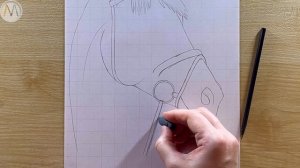 Как нарисовать Лошадь / Как нарисовать Коня / Как нарисовать Жеребца / Horse easy drawing