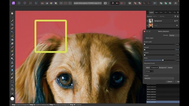AFFINITY PHOTO: HOW TO SELECT TOUGH FUR (AND IS IT BETTER THAN PIXELMATOR PRO) смотреть онлайн
