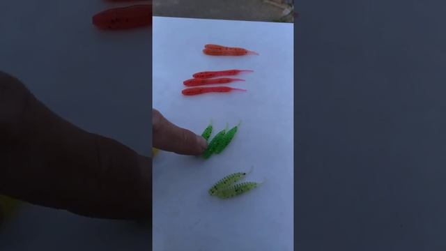 новые красители от MaxWorm смотреть онлайн