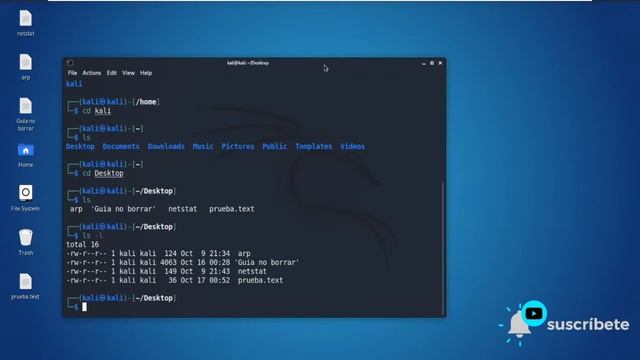 Kali linux #4 Permisos de archivos смотреть онлайн