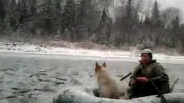 На рыбалку собрались 😆 смотреть онлайн
