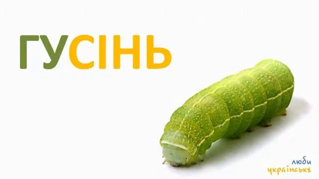 Комахи та інші малі істоти Навчальне відео для дітей українською 1 смотреть онлайн