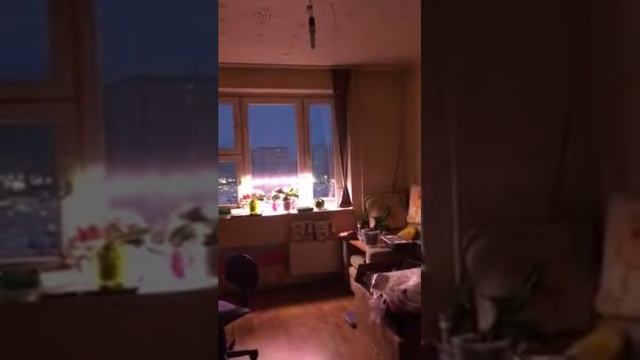 Z-Wave, Home Assistant, Альба и Amazon Alexa смотреть онлайн