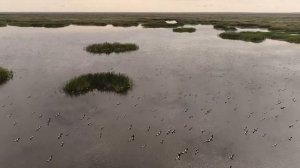 Биологический заказник «Светлинский» - Вести Экология.