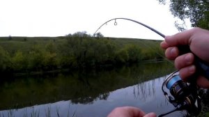 Микроджиг холодным майским утром. Спиннинг Fario NT Morm.S в деле.