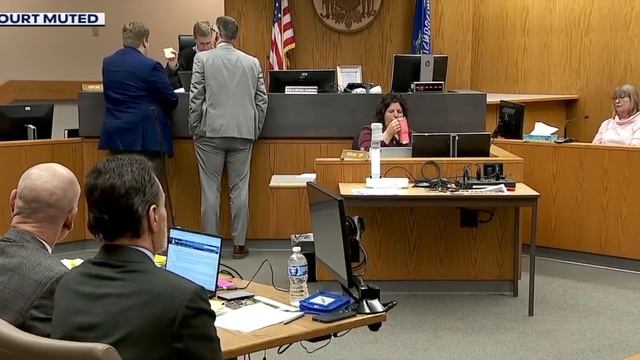 Nicholae Miu's wife, Sondra Miu, Testifies in the Stabbing Murder Trial at Apple River смотреть онлайн