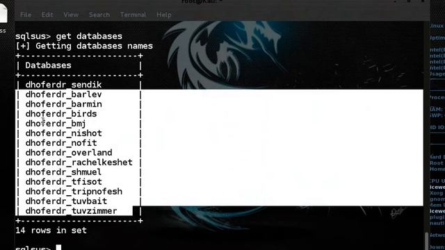 حقن المواقع ب sqlsus بكالي لينكس Sqlinjection kali linux HD смотреть онлайн