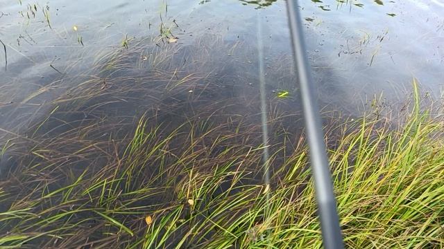 первая щука смотреть онлайн