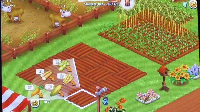 HAY DAY Ipad