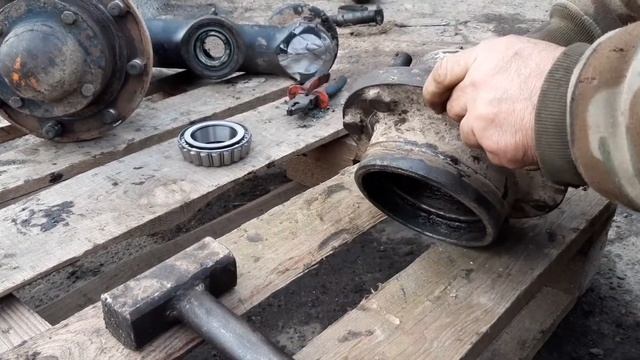 Необычный рекомендация