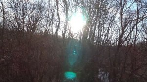 Охота 2019.(Качество поменяю завтра на более лучшее :)