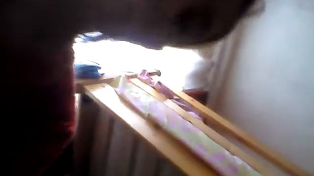 Мой микроскоп.