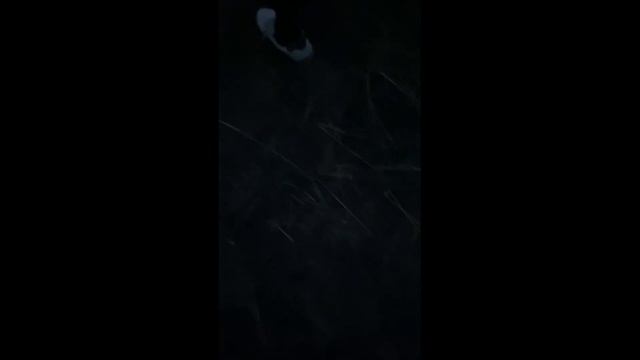 "Мне через 10 минут надо быть дома..." смотреть онлайн