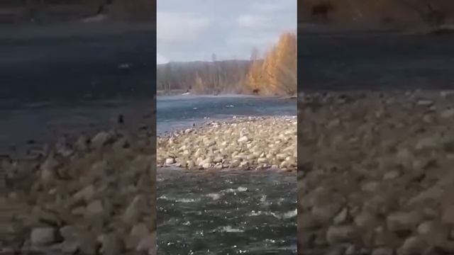 Осенняя рыбалка. Аэролодка. смотреть онлайн