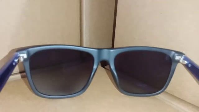 POLAROID SUNGLASS смотреть онлайн