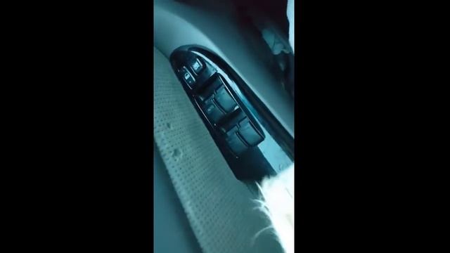My door glass in my car is frozen and won't go down. Here is a trick. смотреть онлайн