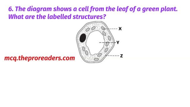 Biology MCQs: Topic 1: Cell Structure- Quiz 2 смотреть онлайн
