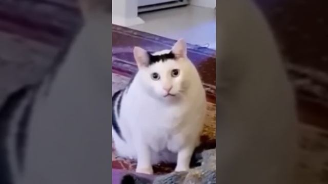 Кувырок в новую жизнь смотреть онлайн