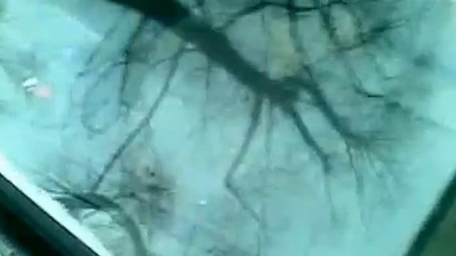 "Голосистая" "двенашка"! смотреть онлайн