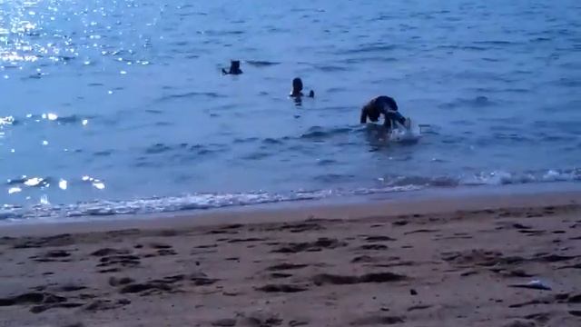 Рыбаки в Паттайе.3gp смотреть онлайн