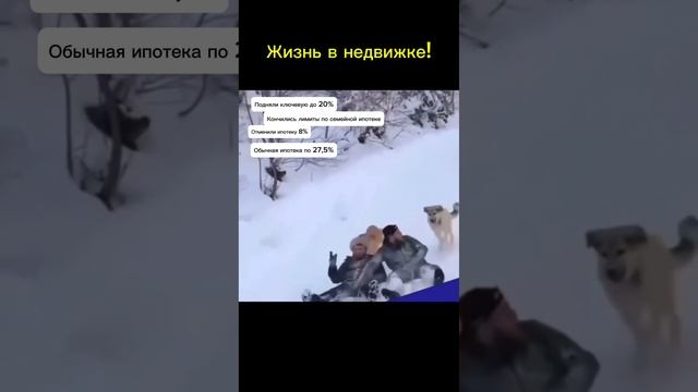 КАРПОВ В КАЛИНИНГРАДЕ