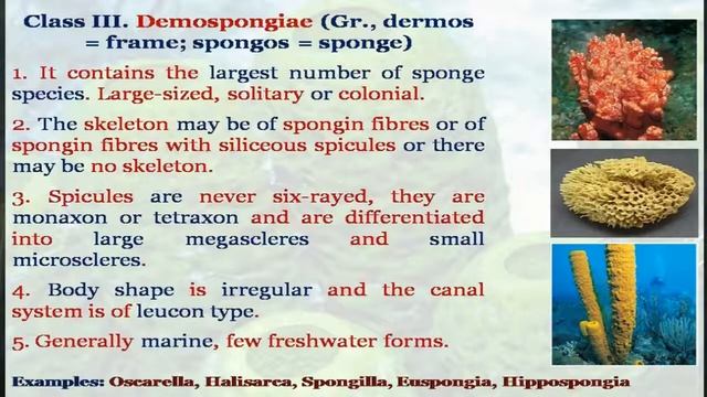 Porifera by Dr  N C  joshi