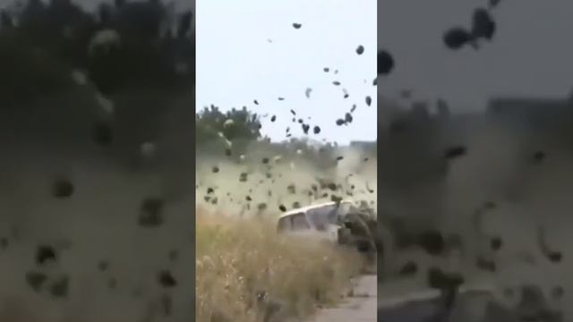 the secret смотреть онлайн