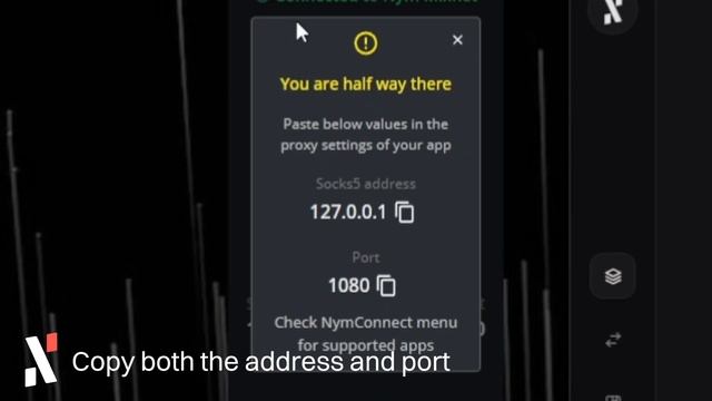 How to use the Alephium Desktop Wallet privately through the NYM Mixnet смотреть онлайн