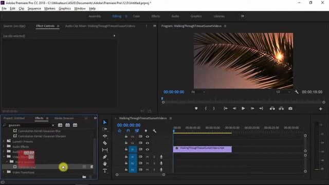 Adobe Premiere Pro - Gaussian Blur Effect