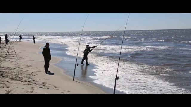 Камбала 30.04.2017 смотреть онлайн