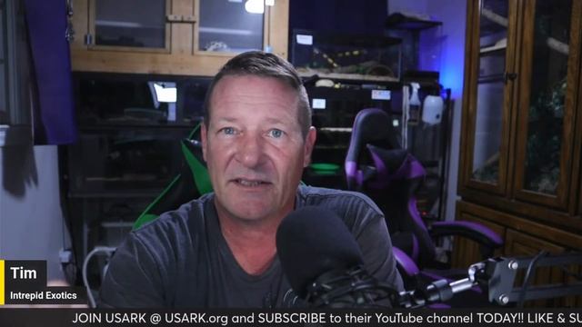 Saturday Night Livestream, All Things Reptiles смотреть онлайн